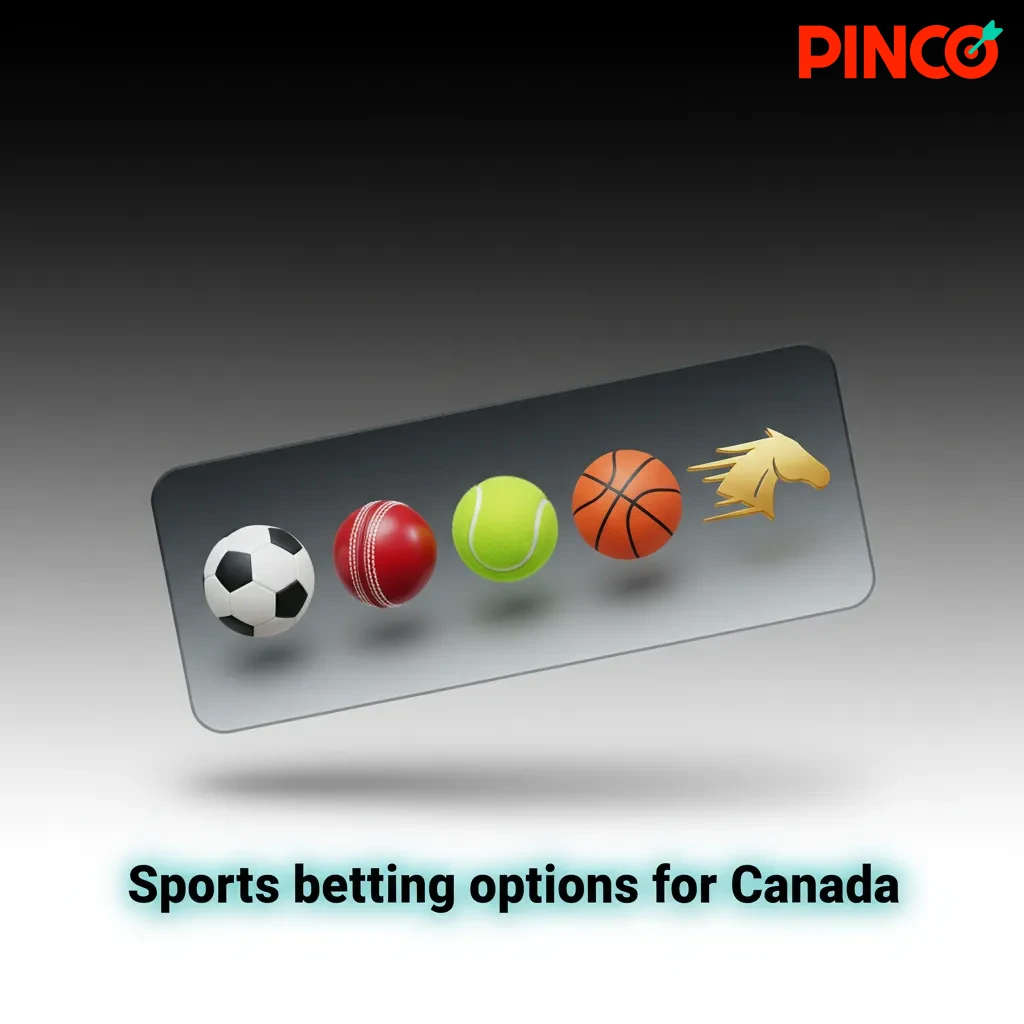 Pinco Canada sports betting: 35+ sports, daily live betting, early odds; NHL, CFL/NFL, soccer, curling, more.